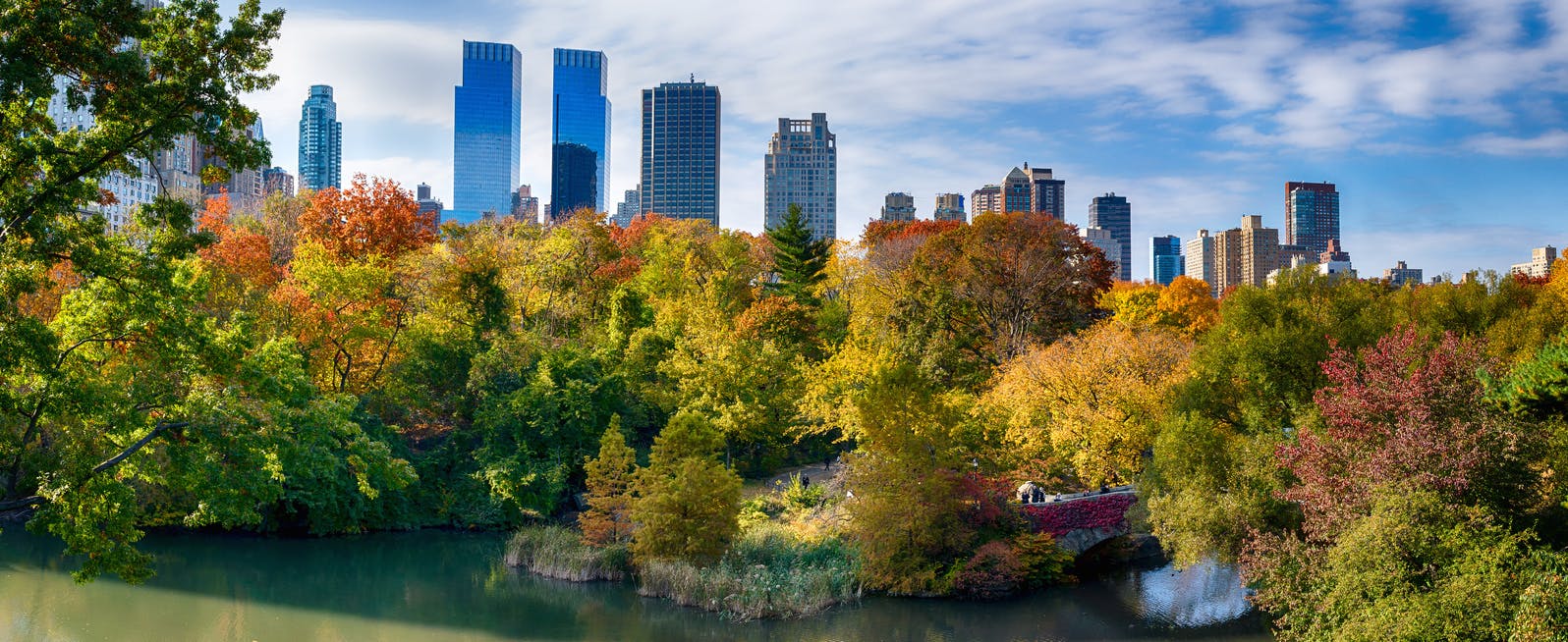The 15 Best Botanical Gardens in New York - ProFlowers Blog